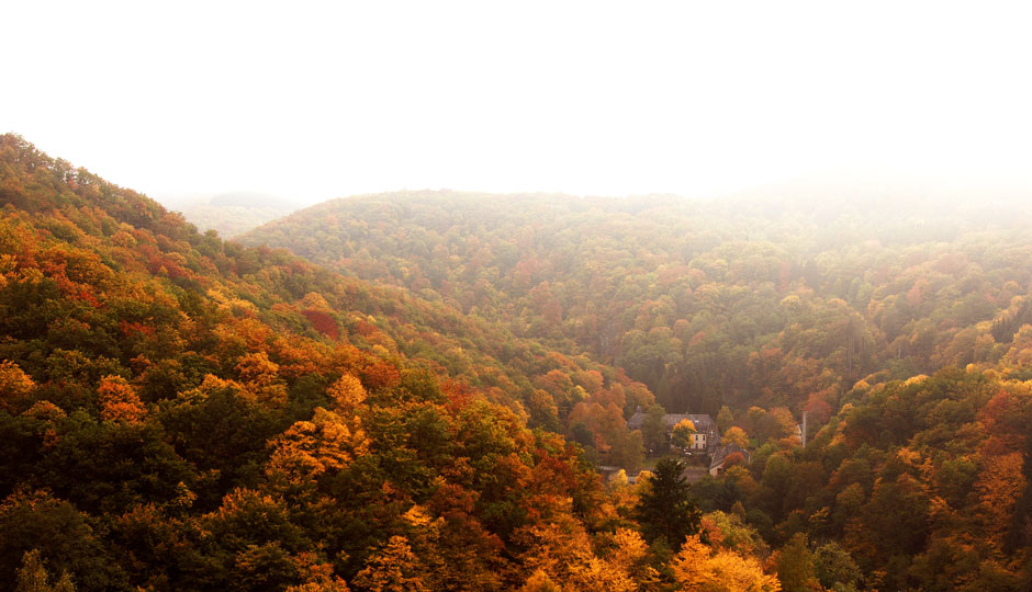 Kautenbachtal im Herbst